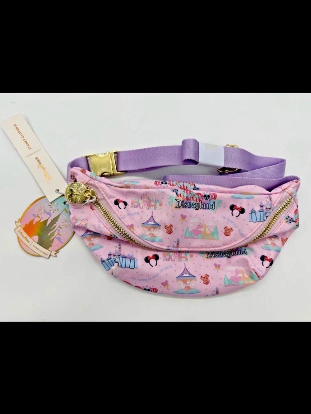 Disneyland Parks Stoney Clover Belt Bag